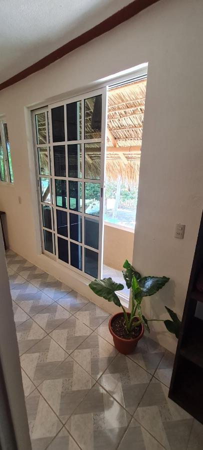 Casa Choco Hotel Mazunte Exterior photo